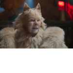 Young Cat Groomers