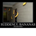 The Offical Bannana Group