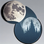 RookClan [WCUE] Staff Apps