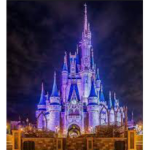 Disney Fun Group