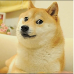 Dogeblox games