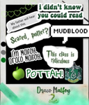 THE SLYTHERIN GANG