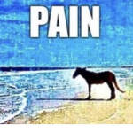 all pain.