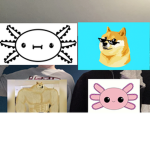 DOGE / AXOLOTL CLAN