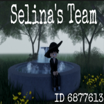 Selina's Team