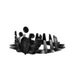 TRUE Void
