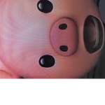 Piggy fan club :)