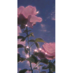 ~Blossoming Aesthetic Flowers~
