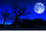 Just Blue