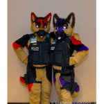 Fun furry fandom!