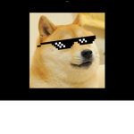 Doggygroupdogeeeee