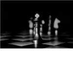 Chess Fans