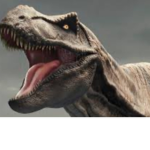 AidenRex