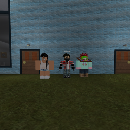 Roleplay at the city of roblox!