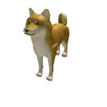 the real doge squad