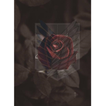 Fallen Roses {aot:lb}