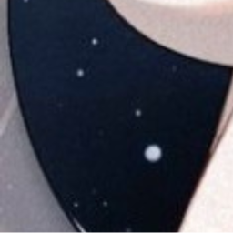 ✦