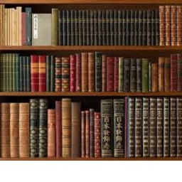 The library