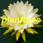 planttype