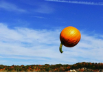 Flying Pumpkin Studios