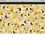 DOGE’s are amazing