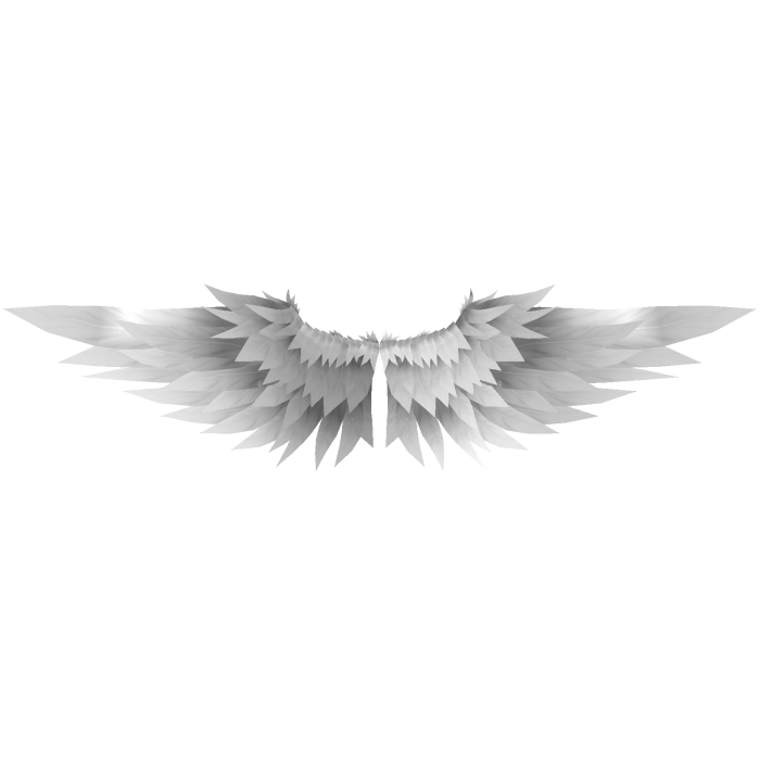 Angelic Wings