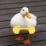 $Goose games$
