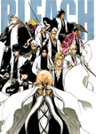The true Gotei 13