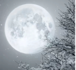 Moon/Penguins!!!