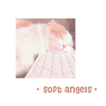 ・soft angels・