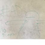 Flamingo and meme fangroup