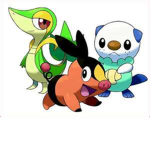 Tepig pokemon club