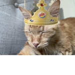 Didyouget.awhoppa