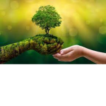 Nature Starts Here