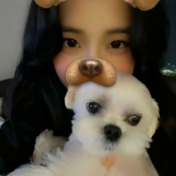🐶
