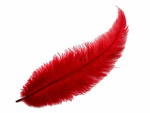 Crimson Quill Studios