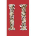 The ii