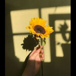 𝙰𝚗𝚐𝚎𝚕𝚜