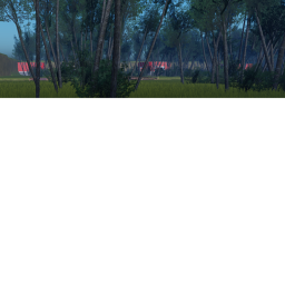 Welcome to the Woods