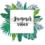 Summer...vibes