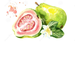 The Guava Gang