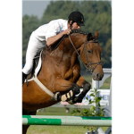 Horse competers