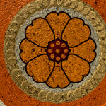 Lotus Flower Memories