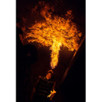 We lik to play with fire squad