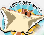 || The squirrels! ||