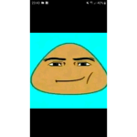 Burpies