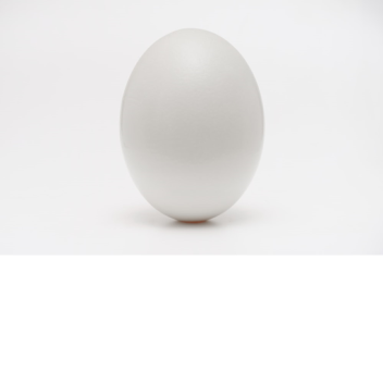 a dinner with an egg