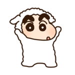 햄수이/fyt 팬그룹
