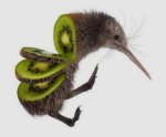 Kiwi Dev group
