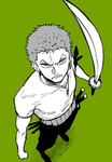 The zoro crew